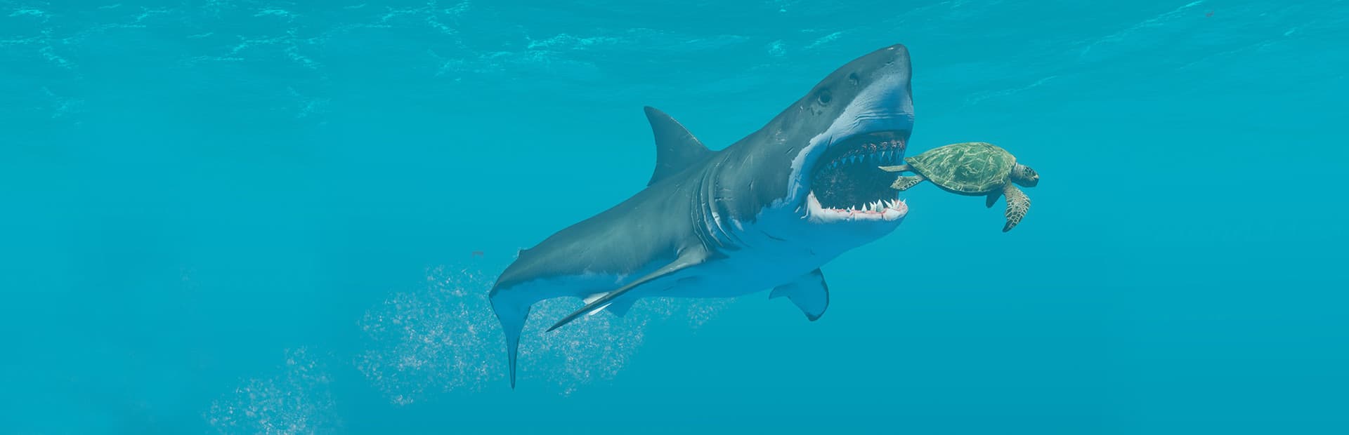 Stranded Deep — capa do jogo