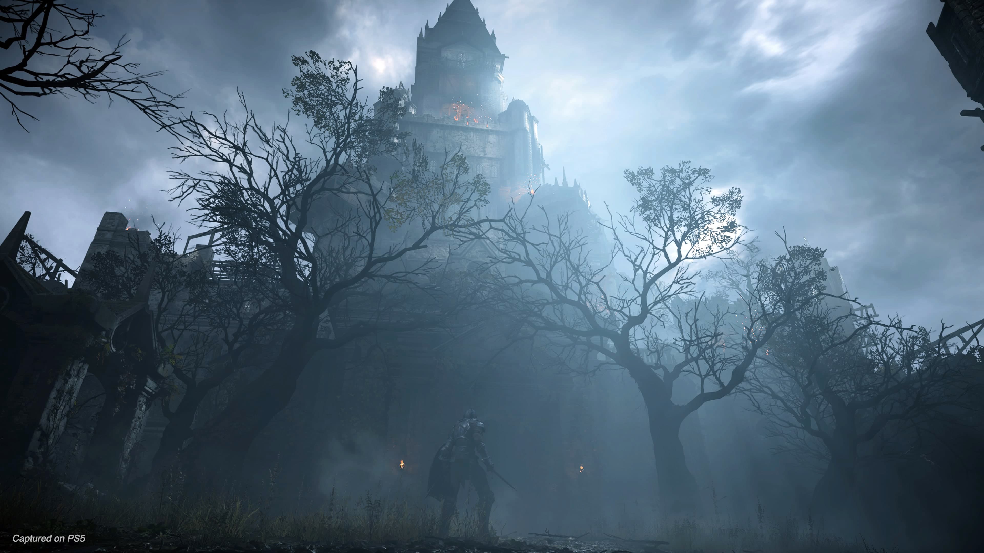 Demon's Souls - Edição Digital Deluxe - Screenshot 5