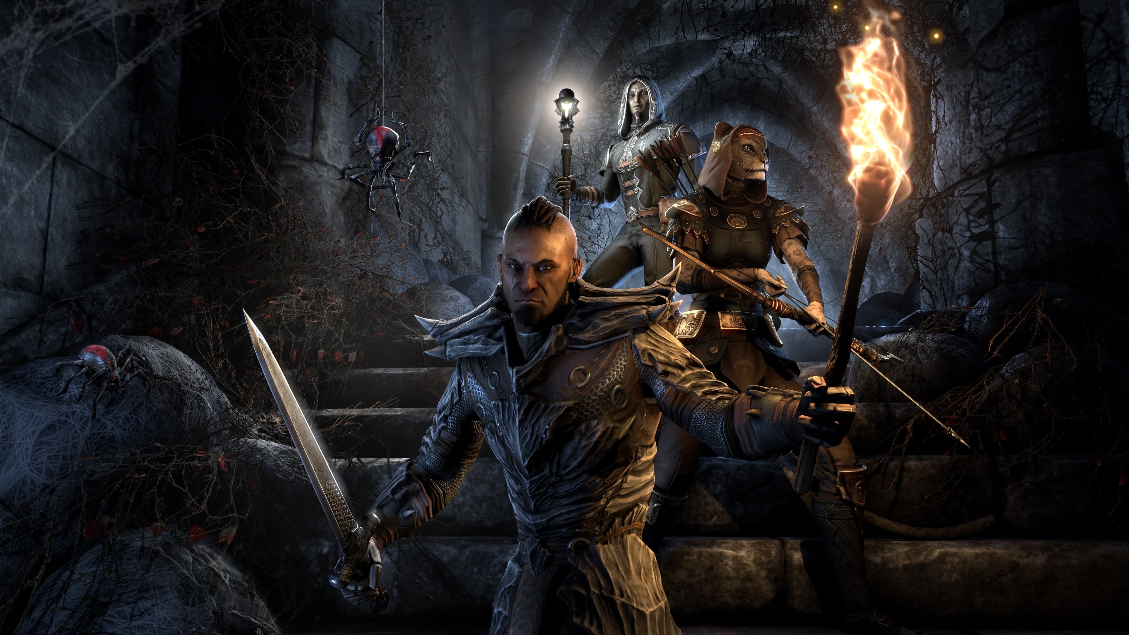 The Elder Scrolls Online - Screenshot 5