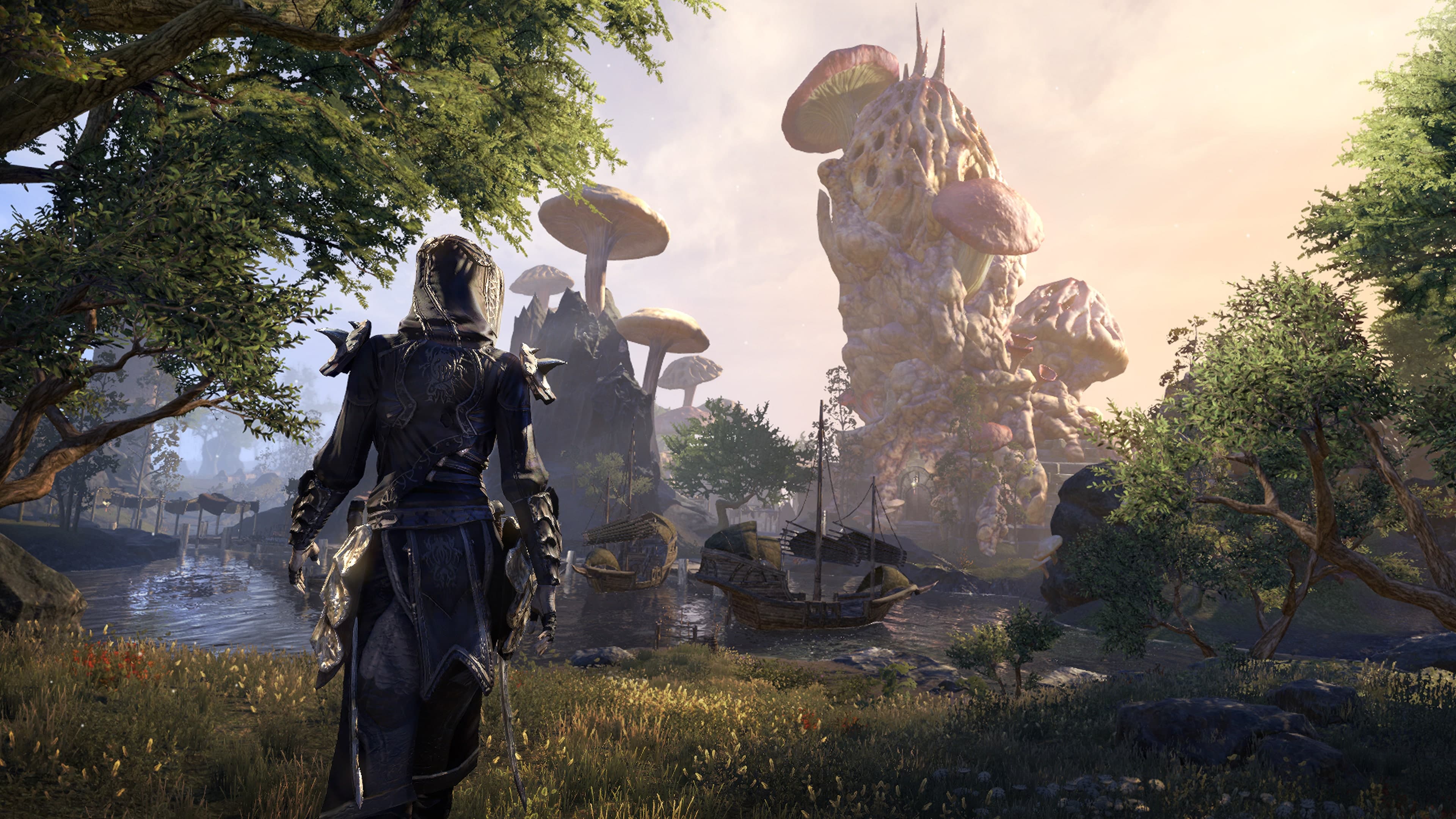 The Elder Scrolls Online - Screenshot 1