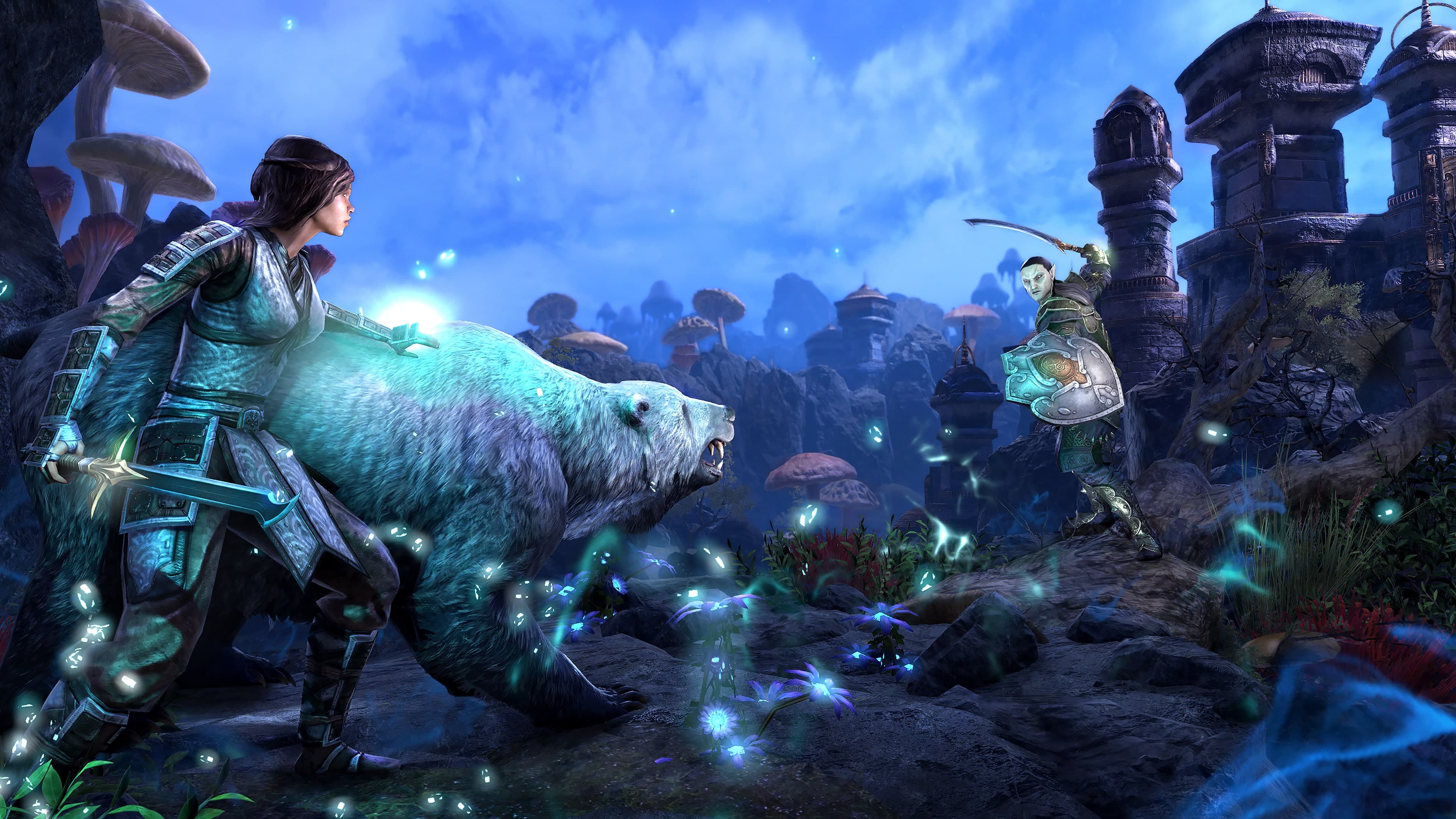 The Elder Scrolls Online - Screenshot 3