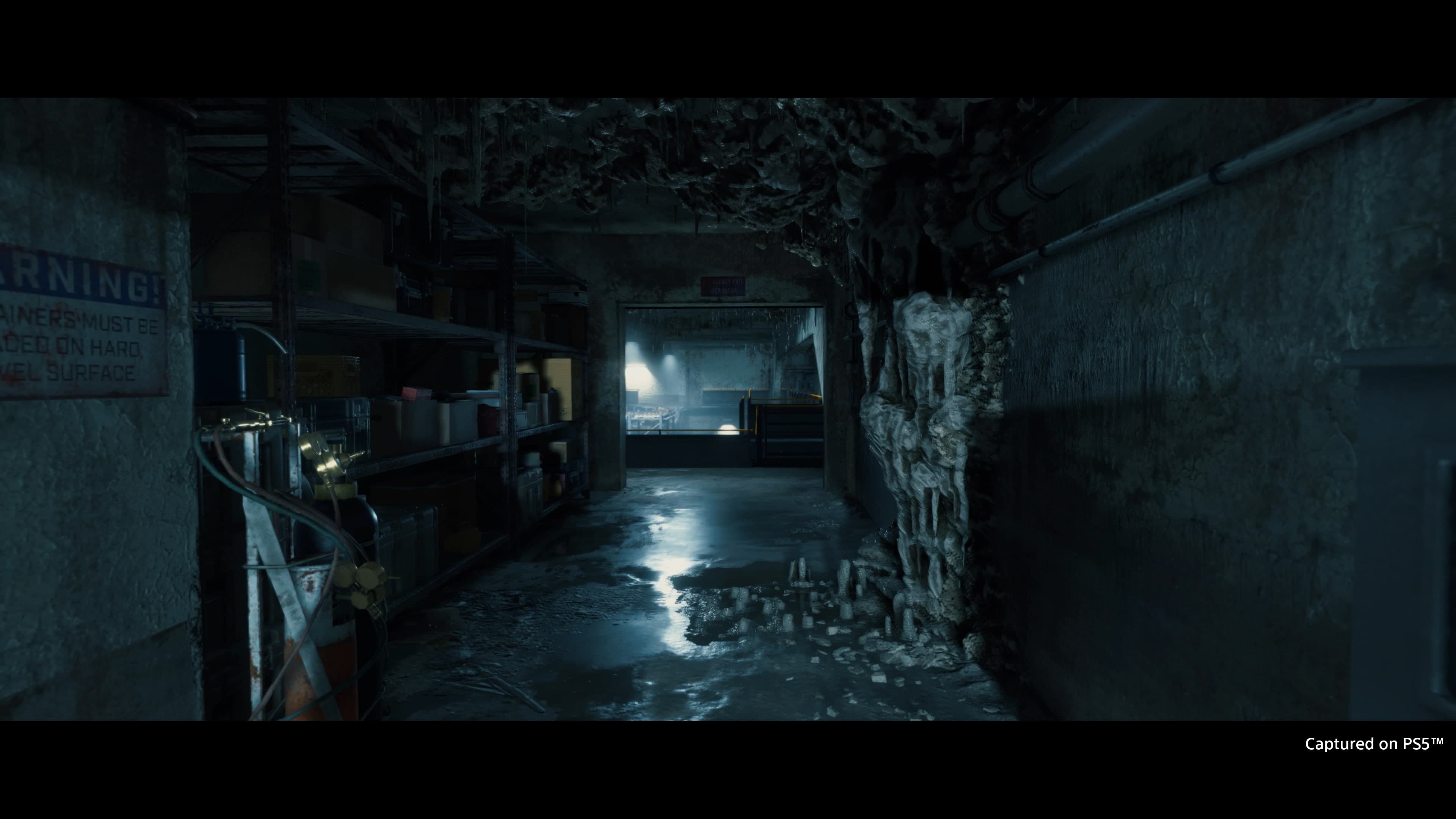 DEATH STRANDING DIRECTOR'S CUT - Edição Digital Deluxe - Screenshot 5